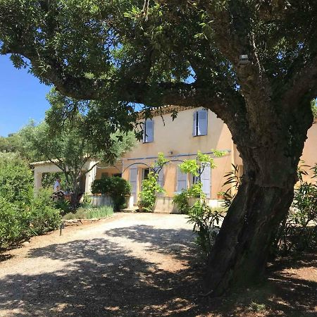 Le Mas Amore Bed and Breakfast Gassin Εξωτερικό φωτογραφία