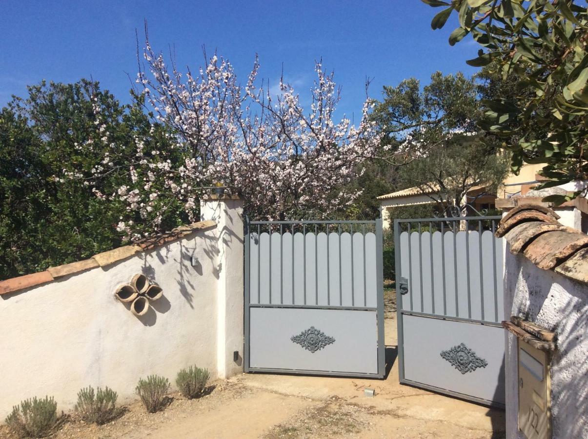 Le Mas Amore Bed and Breakfast Gassin Εξωτερικό φωτογραφία